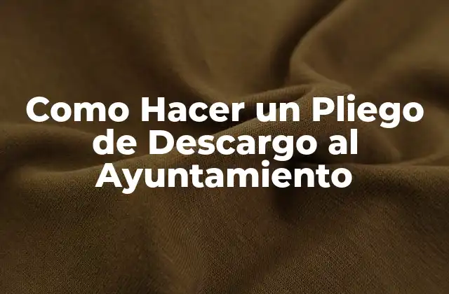 Como Hacer un Pliego de Descargo Al Ayuntamiento