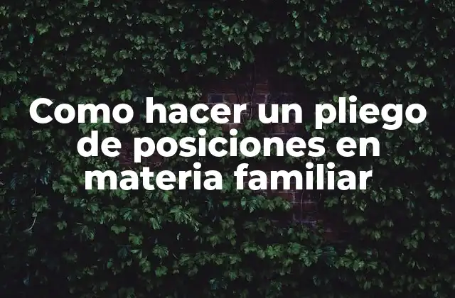 Como Hacer un Pliego de Posiciones en Materia Familiar