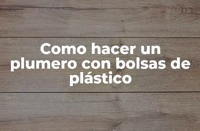 Como hacer un plumero con bolsas de plástico