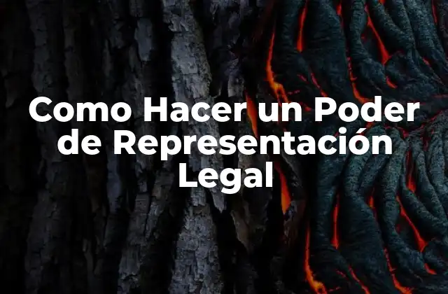 ¿Qué es un Poder de Representación Legal?