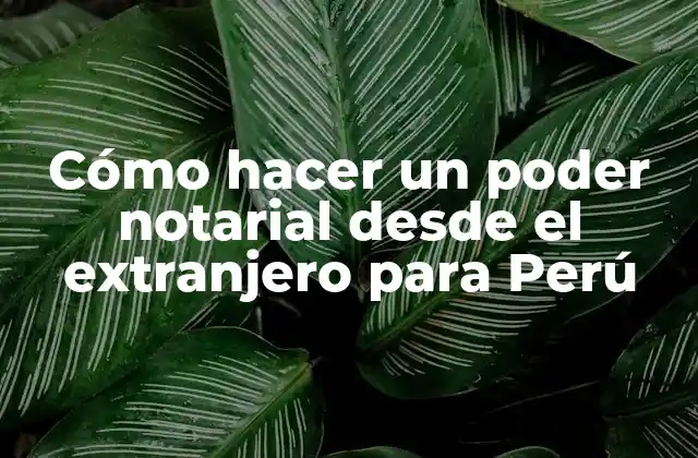 Cómo Hacer un Poder Notarial desde el Extranjero para Perú