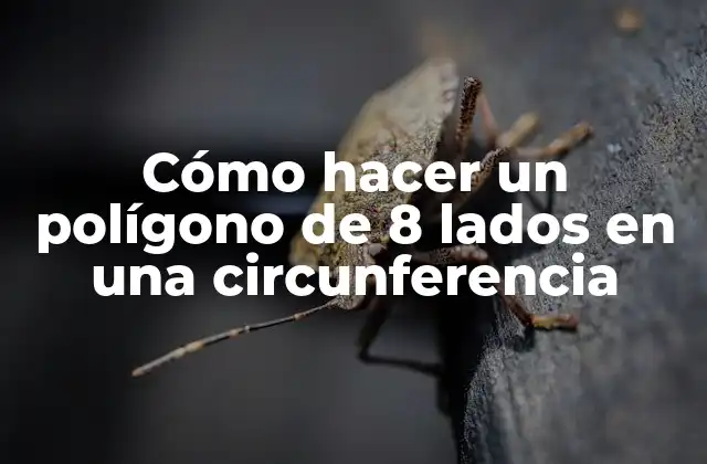 Cómo Hacer un Polígono de 8 Lados en una Circunferencia