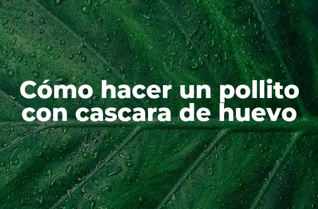 Cómo Hacer un Pollito con Cascara de Huevo