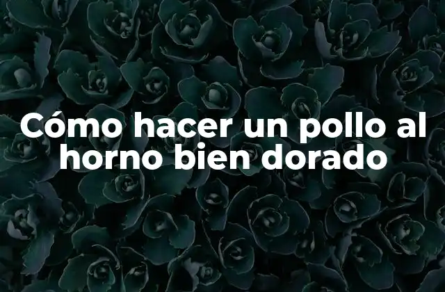 Cómo Hacer un Pollo Al Horno Bien Dorado
