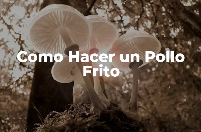 Como Hacer un Pollo Frito 2 ¿Qué es un Pollo Frito y para Qué Sirve?