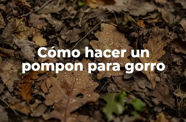 Cómo Hacer un Pompon para Gorro