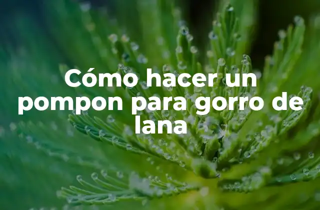 Cómo Hacer un Pompon para Gorro de Lana