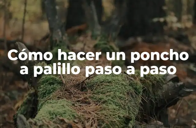 Cómo Hacer un Poncho a Palillo Paso a Paso 2 ¿Qué es un poncho a palillo y para qué sirve?