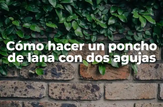 Cómo Hacer un Poncho de Lana con Dos Agujas