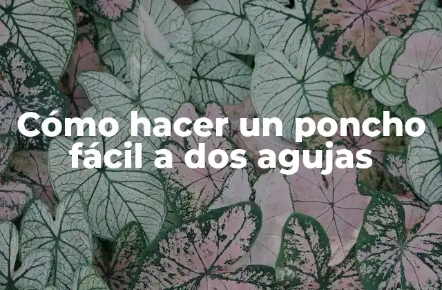 Cómo Hacer un Poncho Fácil a Dos Agujas