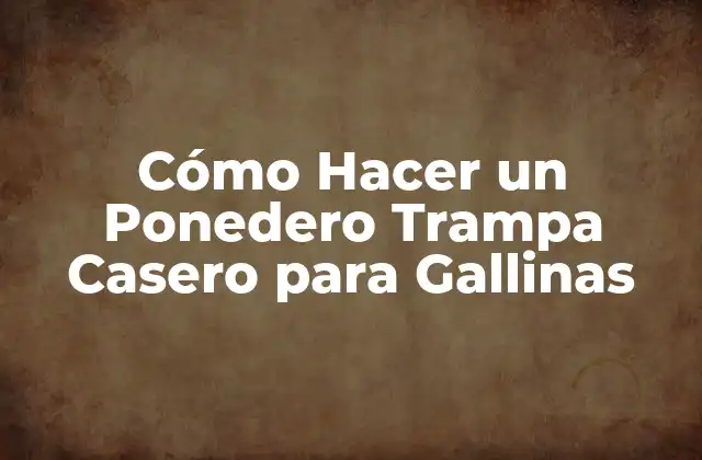 Cómo Hacer un Ponedero Trampa Casero para Gallinas