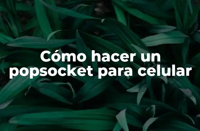 Cómo Hacer un Popsocket para Celular