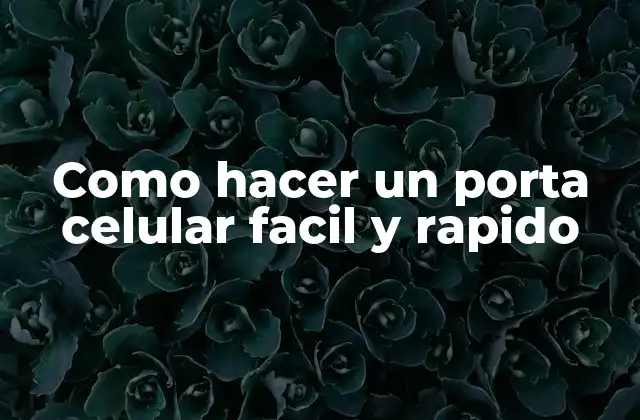 Como hacer un porta celular facil y rapido