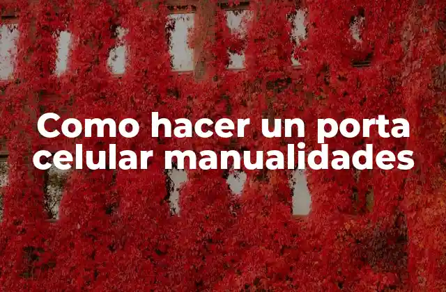 Como Hacer un Porta Celular Manualidades