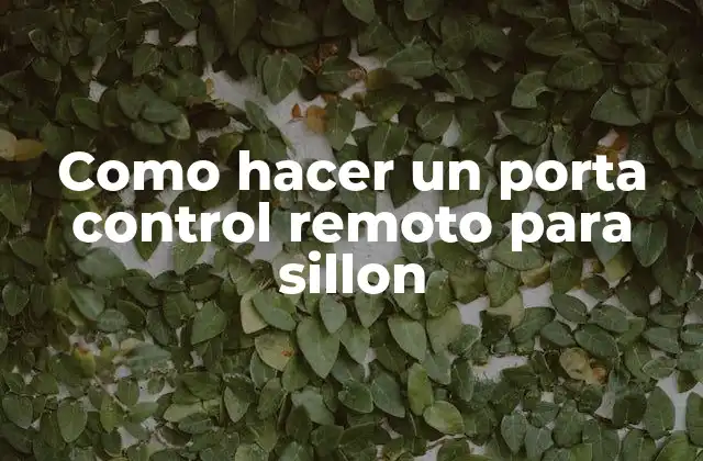 Como Hacer un Porta Control Remoto para Sillon