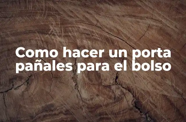 Como Hacer un Porta Pañales para el Bolso