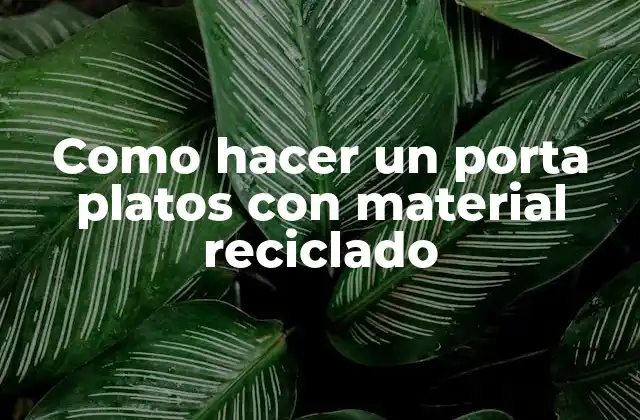 Como Hacer un Porta Platos con Material Reciclado