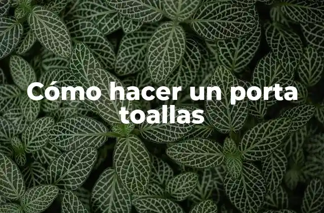 Cómo Hacer un Porta Toallas