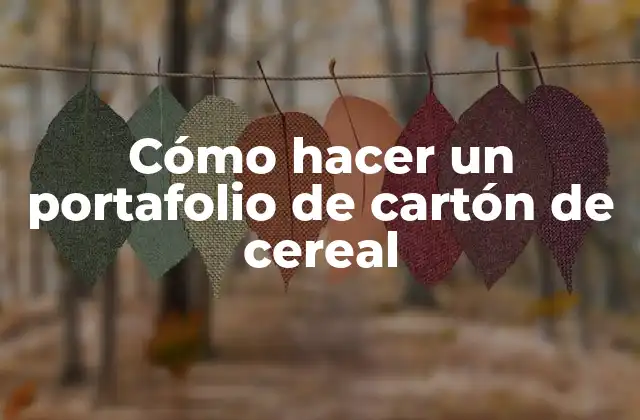 Cómo Hacer un Portafolio de Cartón de Cereal