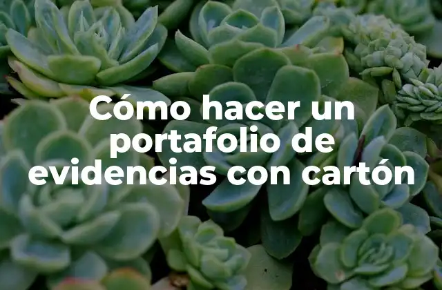 Cómo Hacer un Portafolio de Evidencias con Cartón