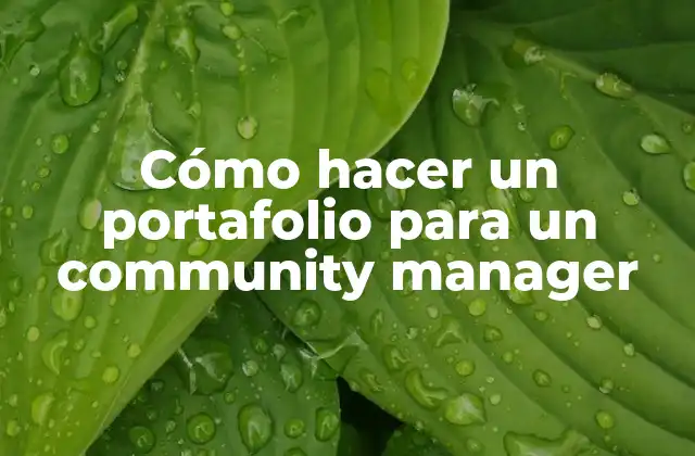 Cómo Hacer un Portafolio para un Community Manager