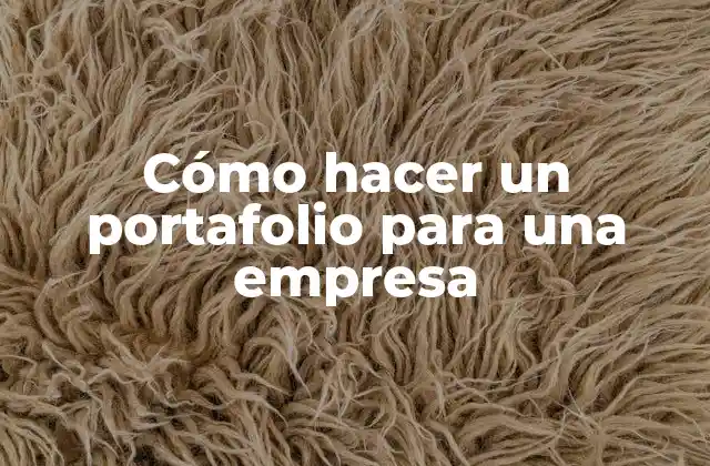 Cómo Hacer un Portafolio para una Empresa