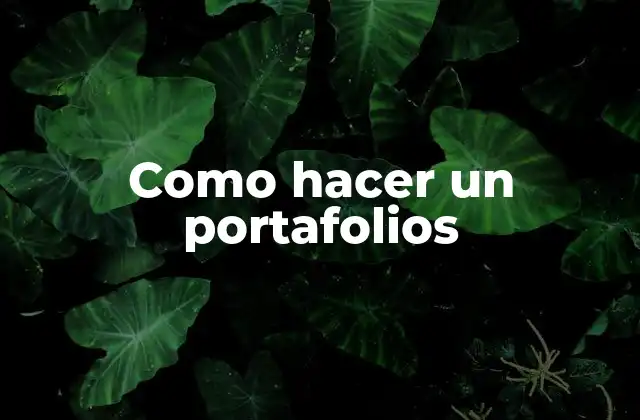Como Hacer un Portafolios