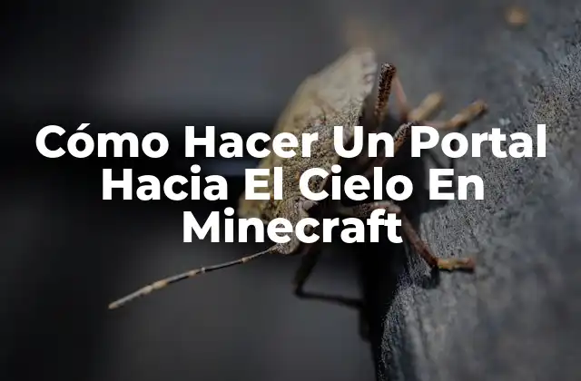 Cómo Hacer un Portal hacia el Cielo en Minecraft