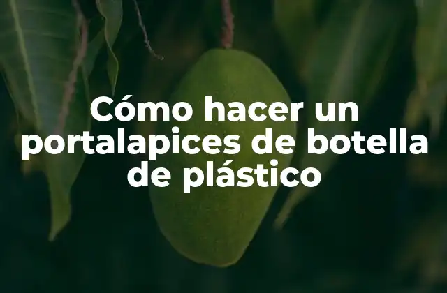 Cómo Hacer un Portalapices de Botella de Plástico