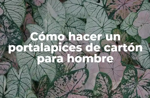 Cómo Hacer un Portalapices de Cartón para Hombre