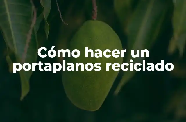 Cómo Hacer un Portaplanos Reciclado