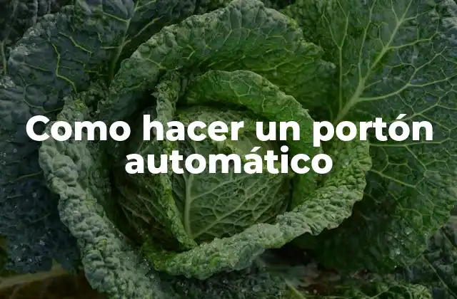 Como Hacer un Portón Automático