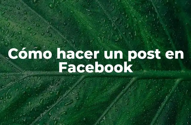 ¿Qué es un post en Facebook?