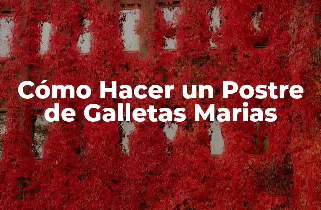 ¿Qué es un Postre de Galletas Marias?