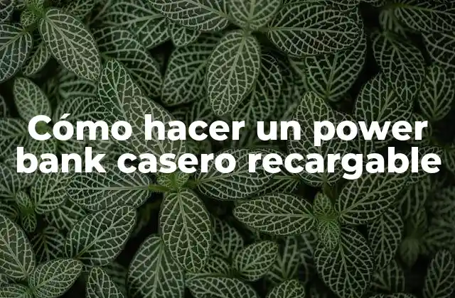 Cómo Hacer un Power Bank Casero Recargable