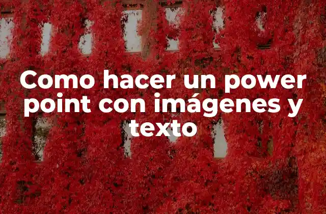 Como Hacer un Power Point con Imágenes y Texto