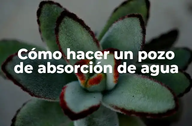 Cómo Hacer un Pozo de Absorción de Agua