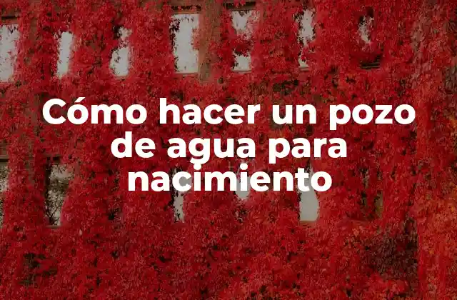 Cómo Hacer un Pozo de Agua para Nacimiento