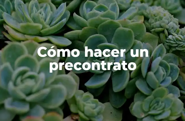 Cómo Hacer un Precontrato