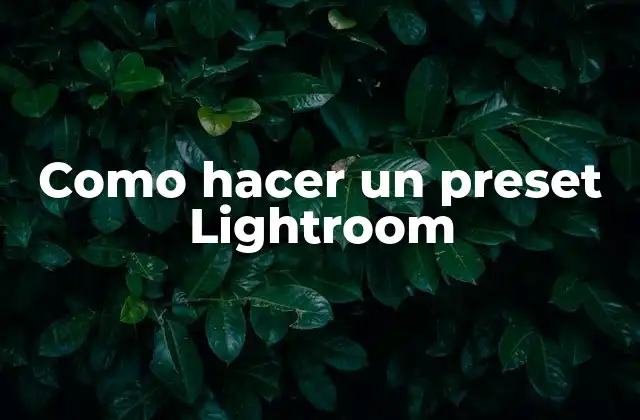 Como Hacer un Preset Lightroom