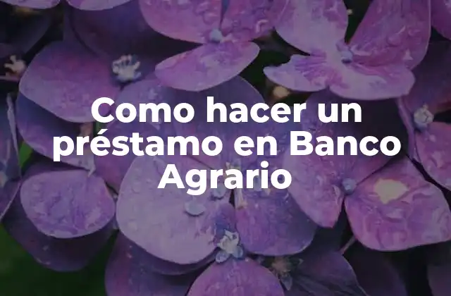 Como Hacer un Préstamo en Banco Agrario