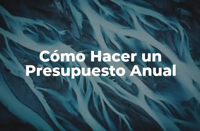 Cómo Hacer un Presupuesto Anual