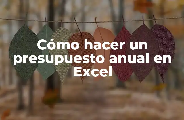 Cómo Hacer un Presupuesto Anual en Excel