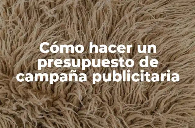 Cómo Hacer un Presupuesto de Campaña Publicitaria