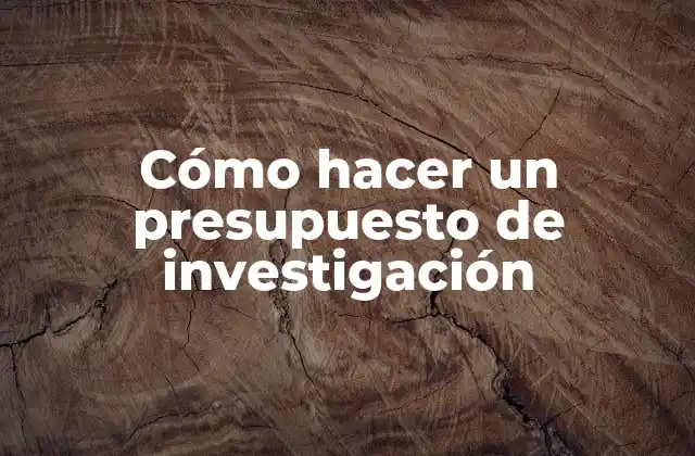 Cómo Hacer un Presupuesto de Investigación