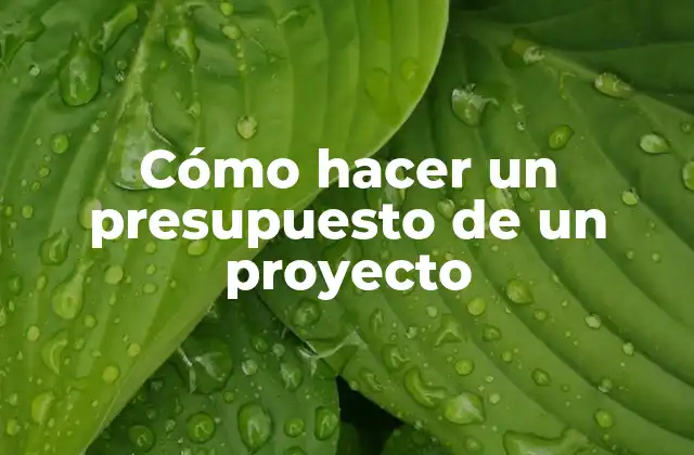Cómo Hacer un Presupuesto de un Proyecto
