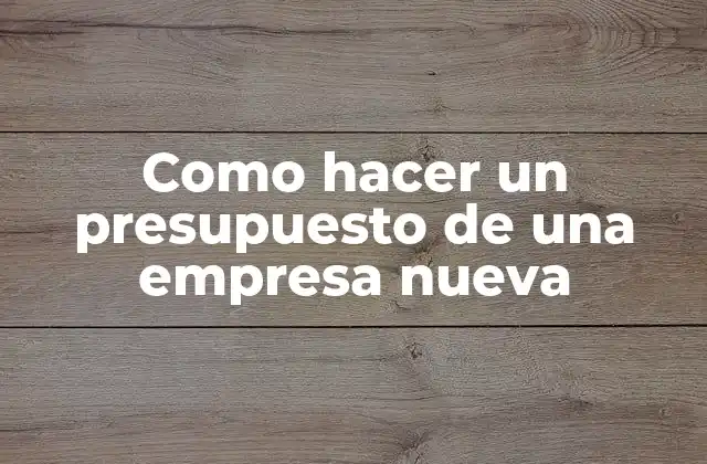 Como Hacer un Presupuesto de una Empresa Nueva