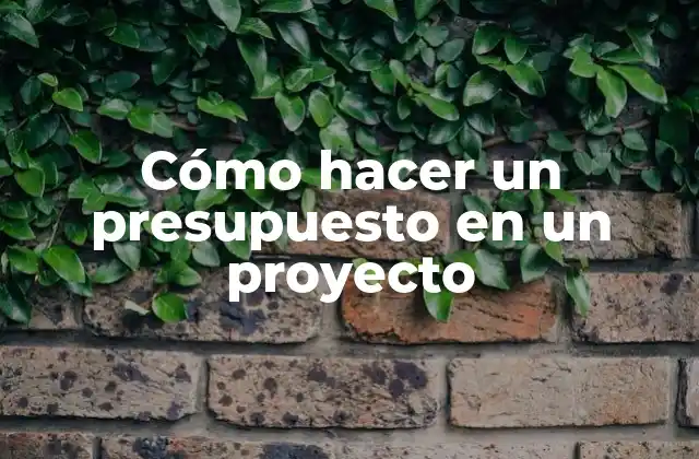 Cómo Hacer un Presupuesto en un Proyecto