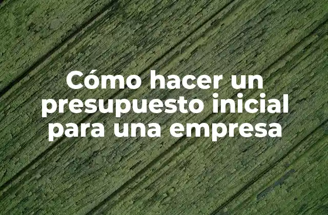 Cómo Hacer un Presupuesto Inicial para una Empresa