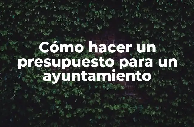 Cómo Hacer un Presupuesto para un Ayuntamiento